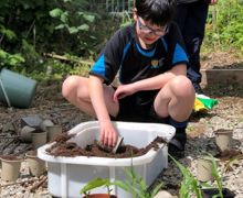 Allotment lessons (1)