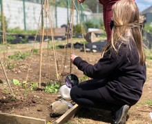 Allotment lessons (2)