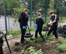 Allotment lessons (4)