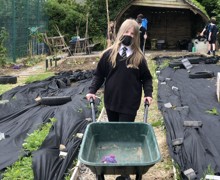 Allotment lessons (5)