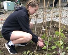 Allotment lessons (6)