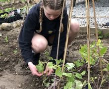 Allotment lessons (7)