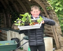 Allotment lessons (8)