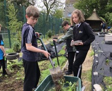 Allotment lessons (10)