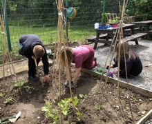 Allotment lessons (13)