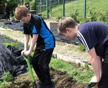 Allotment lessons (14)