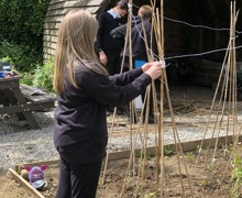 Allotment lessons (18)