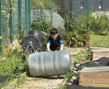 Allotment lessons (20)