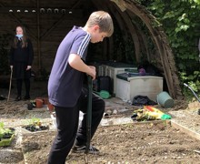 Allotment lessons (23)