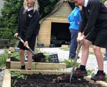 Allotment coop funding (1)