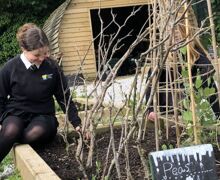 Allotment   coop funding (2)