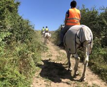 Activities Week 2022   Horseriding TG (1)