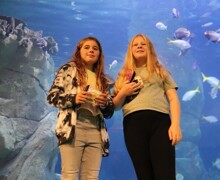 Yaer 7 Camp part two day two (13)