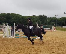 Horse Riding Comp   June23 (3)
