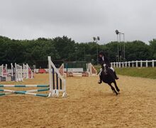 Horse Riding Comp   June23 (4)