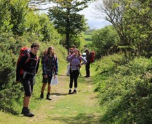 DofE   4.5 (25) (Large)