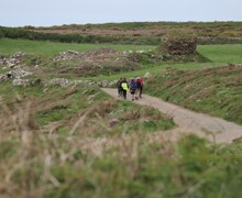 DofE   4.5 (16) (Large)