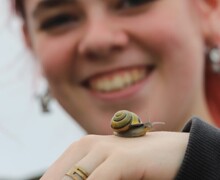 DofE   4.5 (9) (Large)