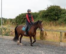 Activities Week 2025 (159) (Large)