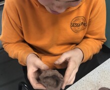 Activities Week   3rd Upload (17) (Large)