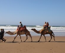 Morocco 2025 (31) (Large)